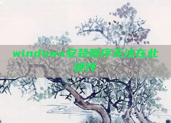 windows安装程序无法在此硬件