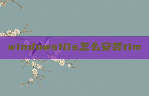 windows10s怎么安装tim