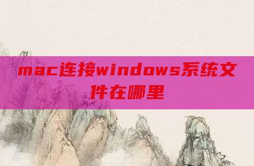mac连接windows系统文件在哪里