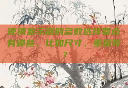 便携显示器的参数选择要点有哪些,比如尺寸、重量等?
