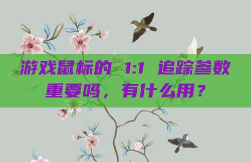 游戏鼠标的 1:1 追踪参数重要吗,有什么用?