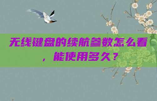 无线键盘的续航参数怎么看,能使用多久?