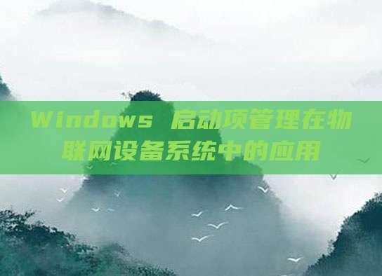 Windows 启动项管理在物联网设备系统中的应用