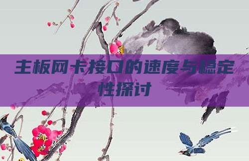 主板网卡接口的速度与稳定性探讨