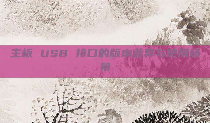 主板 USB 接口的版本差异与使用场景