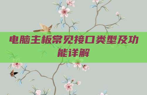 电脑主板常见接口类型及功能详解