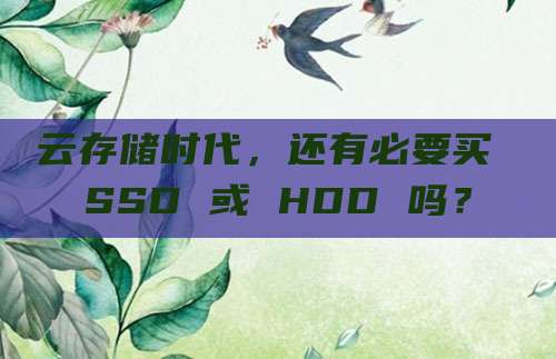 云存储时代,还有必要买 SSD 或 HDD 吗?