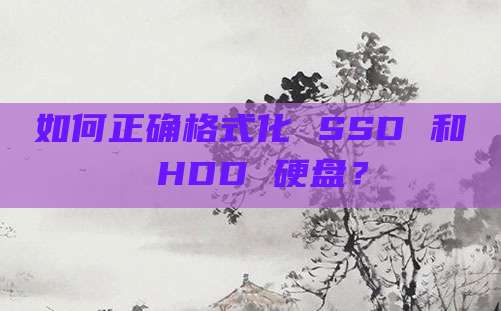 如何正确格式化 SSD 和 HDD 硬盘?