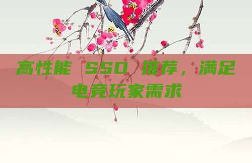 高性能 SSD 推荐,满足电竞玩家需求