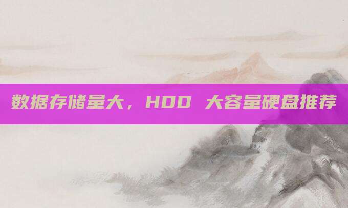 数据存储量大,HDD 大容量硬盘推荐