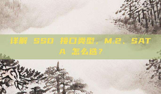 详解 SSD 接口类型,M.2、SATA 怎么选?
