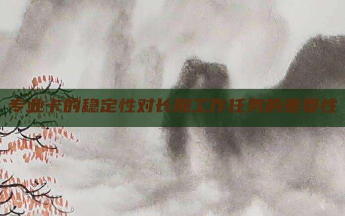 专业卡的稳定性对长期工作任务的重要性