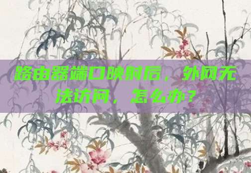路由器端口映射后,外网无法访问,怎么办?