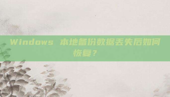Windows 本地备份数据丢失后如何恢复?