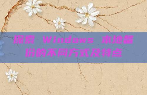 探索 Windows 本地备份的不同方式及特点