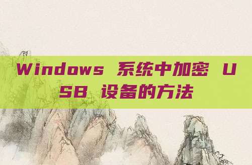 Windows 系统中加密 USB 设备的方法