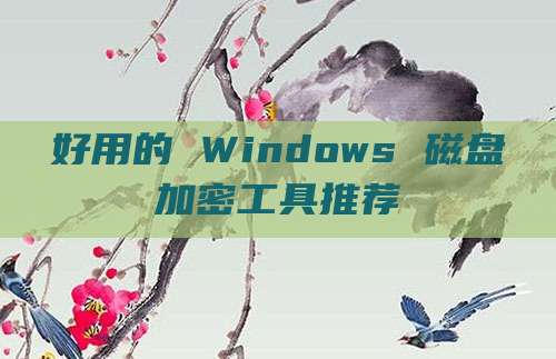 好用的 Windows 磁盘加密工具推荐