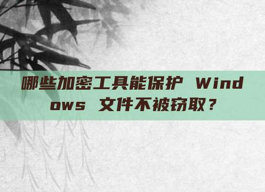 哪些加密工具能保护 Windows 文件不被窃取?