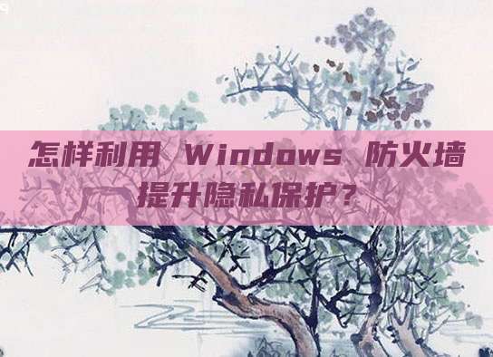 怎样利用 Windows 防火墙提升隐私保护?