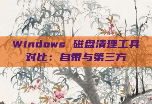 Windows 磁盘清理工具对比:自带与第三方
