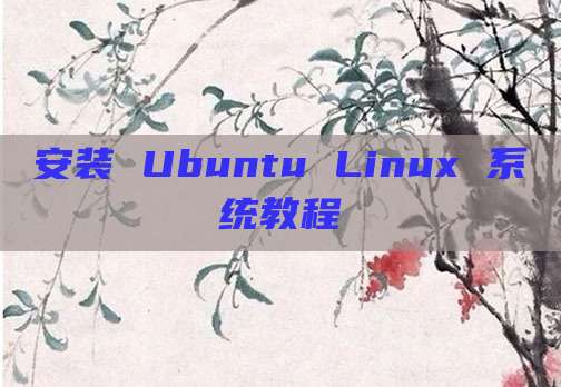 安装 Ubuntu Linux 系统教程