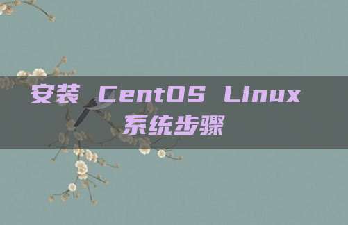 安装 CentOS Linux 系统步骤