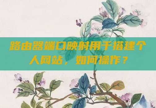 路由器端口映射用于搭建个人网站,如何操作?