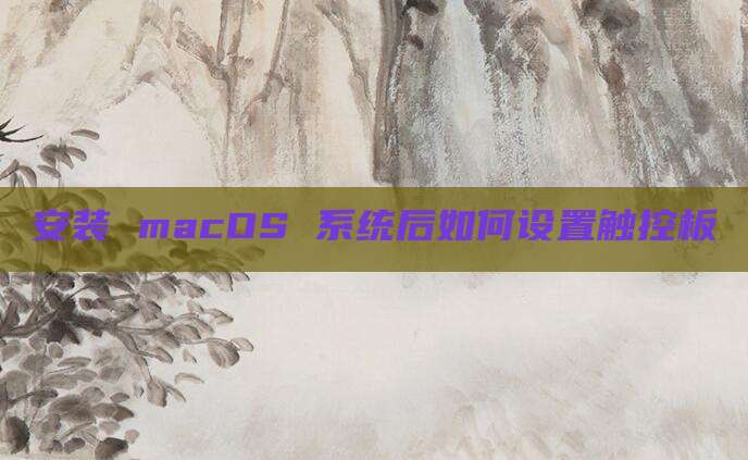 安装 macOS 系统后如何设置触控板