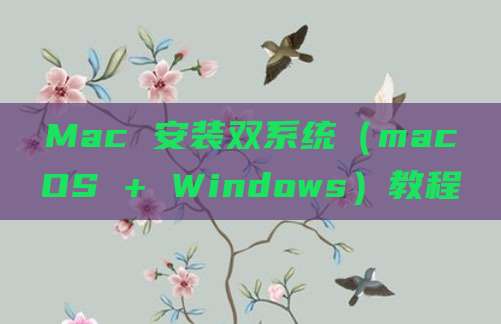 Mac 安装双系统(macOS + Windows)教程