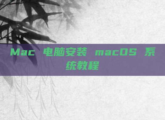 Mac 电脑安装 macOS 系统教程