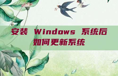 安装 Windows 系统后如何更新系统