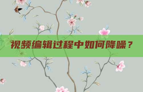 视频编辑过程中如何降噪?