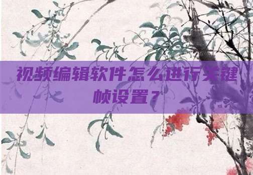 视频编辑软件怎么进行关键帧设置?