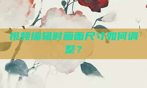 视频编辑时画面尺寸如何调整?