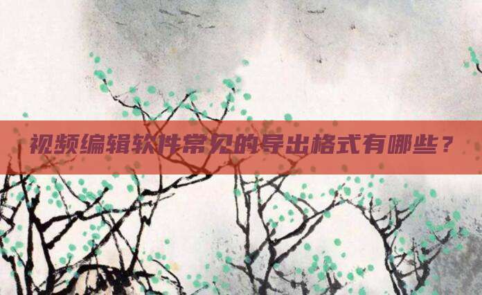 视频编辑软件常见的导出格式有哪些?