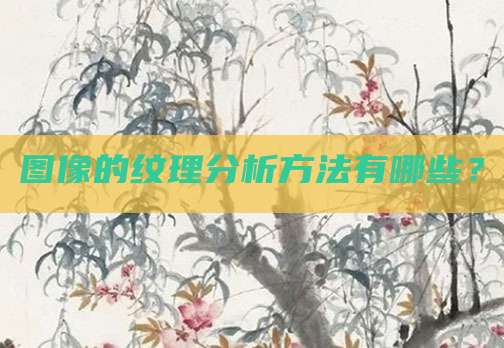 图像的纹理分析方法有哪些?