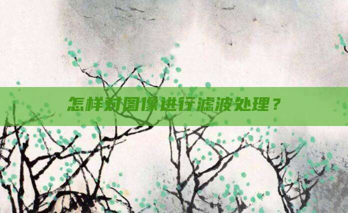 怎样对图像进行滤波处理?