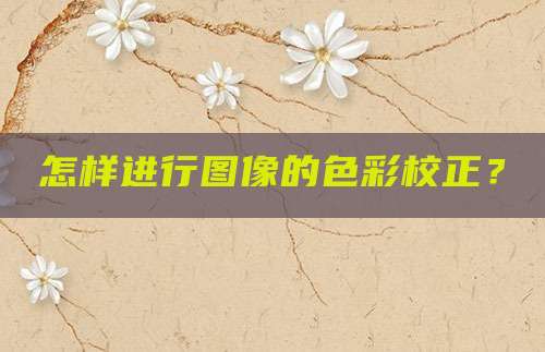 怎样进行图像的色彩校正?