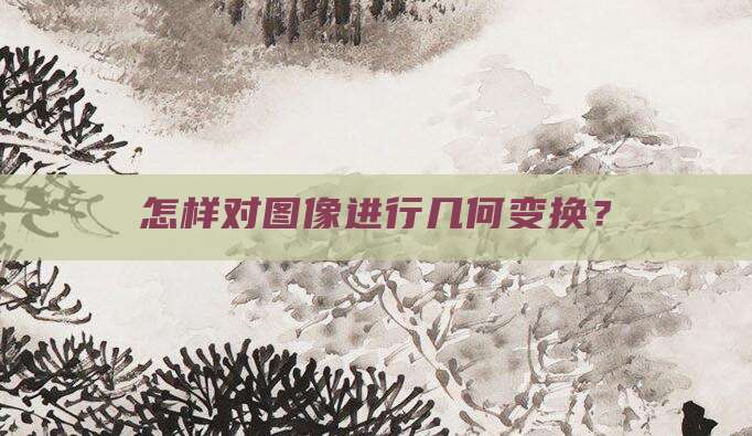 怎样对图像进行几何变换?