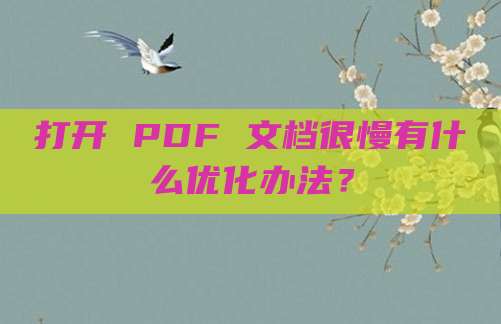 打开 PDF 文档很慢有什么优化办法?