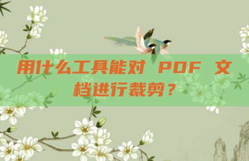 用什么工具能对 PDF 文档进行裁剪?