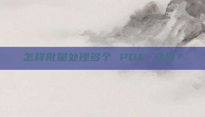 怎样批量处理多个 PDF 文档?