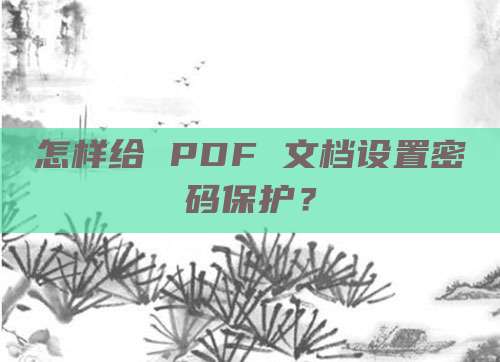 怎样给 PDF 文档设置密码保护?