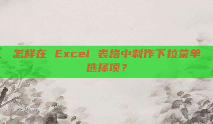 怎样在 Excel 表格中制作下拉菜单选择项?