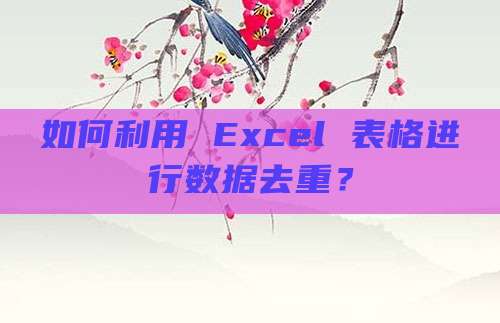 如何利用 Excel 表格进行数据去重?