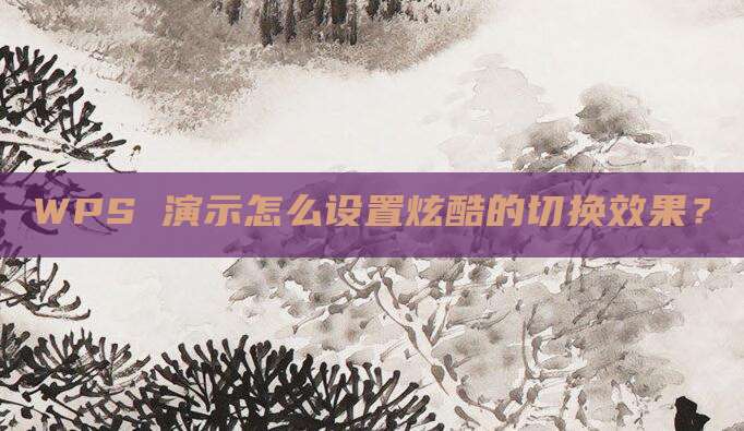 WPS 演示怎么设置炫酷的切换效果?