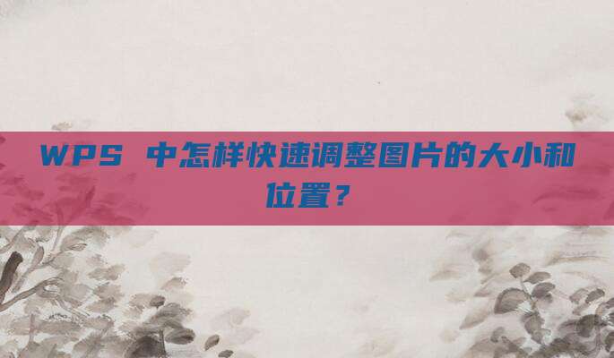 WPS 中怎样快速调整图片的大小和位置?