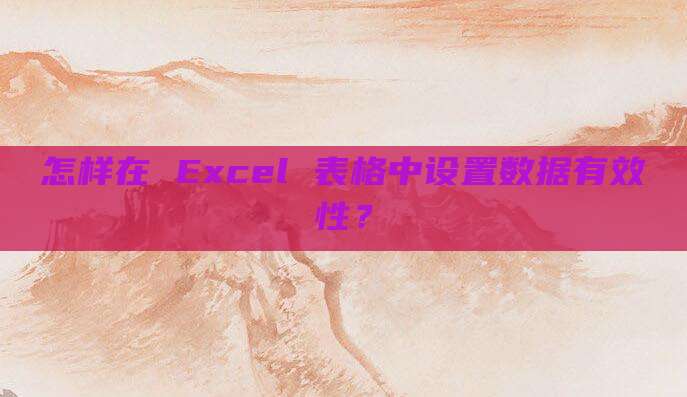 怎样在 Excel 表格中设置数据有效性?