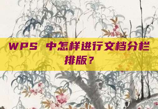 WPS 中怎样进行文档分栏排版?
