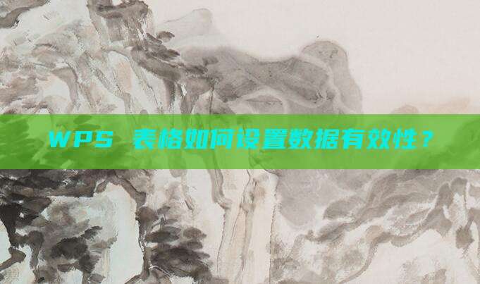 WPS 表格如何设置数据有效性?